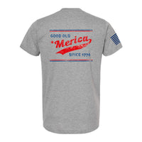 T - SHIRT "GOOD OLD AMERICA" - HEATHERED GREY - ATOM Promotions